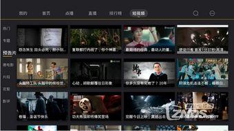 国产强爽在线视频,畅享视听盛宴，解锁全新娱乐体验