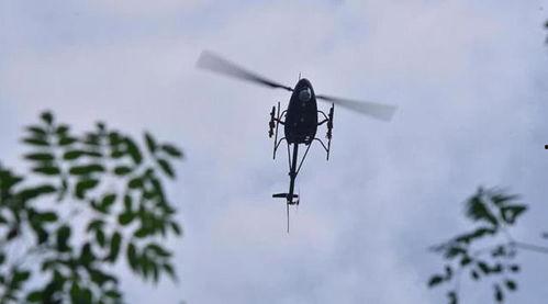 国产飞机打靶视频在线,实战演练展翅翱翔