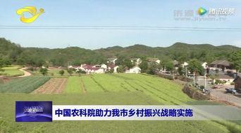 国产乡村视频免费播放,国产视频盛宴来袭