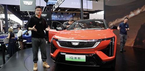 叫板国产车的视频