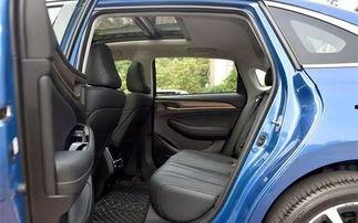 日本人坐国产车视频,日本民众热衷体验本土汽车风采