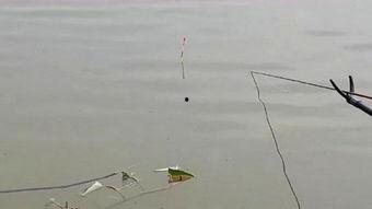 国产野钓神器视频,揭秘视频中的钓鱼新潮流