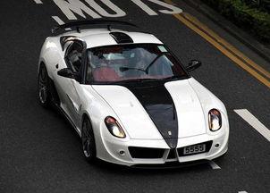 国产冷门车街拍视频