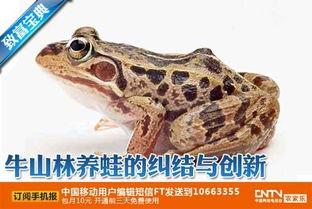 国产小青蛙在线视频频,萌动心弦的治愈之旅