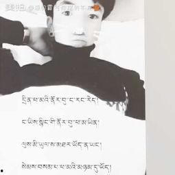 国产霸气模仿视频,致敬经典，笑翻全场