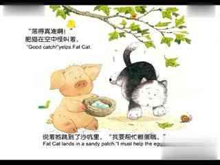 国产图画书教学视频大全