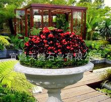 国产降解花盆视频,绿色环保，引领园艺新潮流