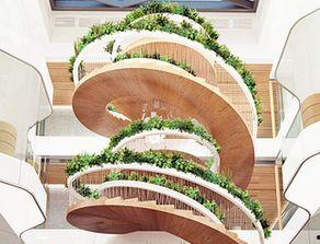 国产降解花盆视频,绿色环保，引领园艺新潮流  第3张