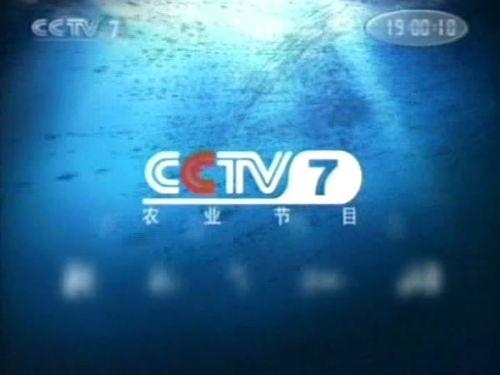 国产鞋品牌故事视频背景,国产鞋品牌的故事之旅